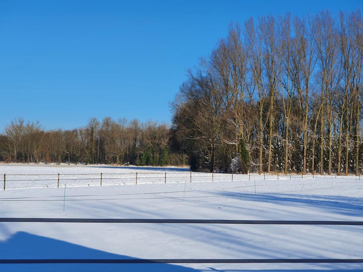 B & B De Stok Sint-Oedenrode ภายนอก รูปภาพ
