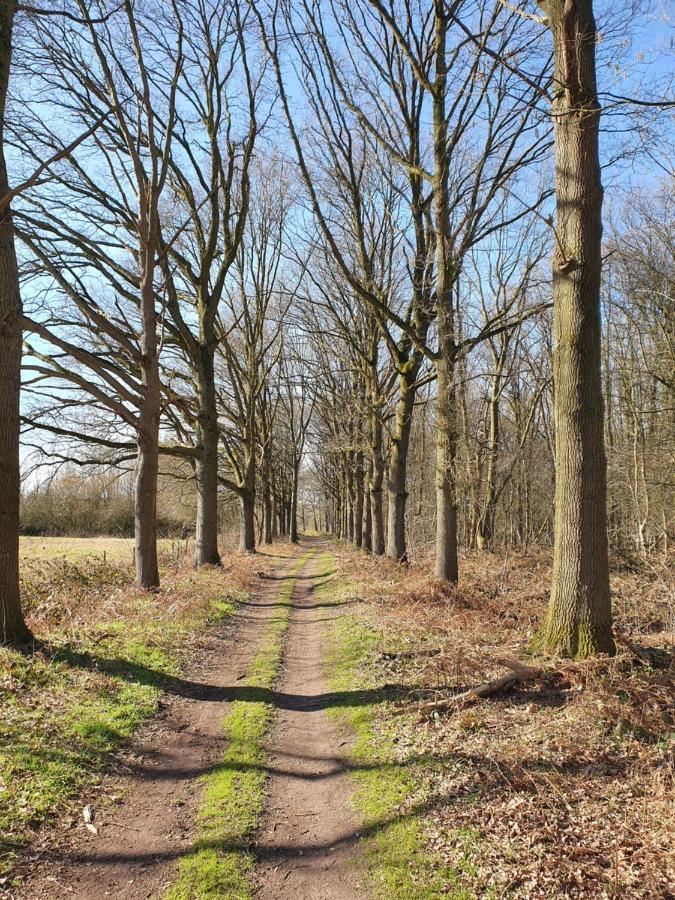 B & B De Stok Sint-Oedenrode ภายนอก รูปภาพ